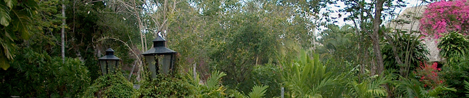 IM002949 Banner