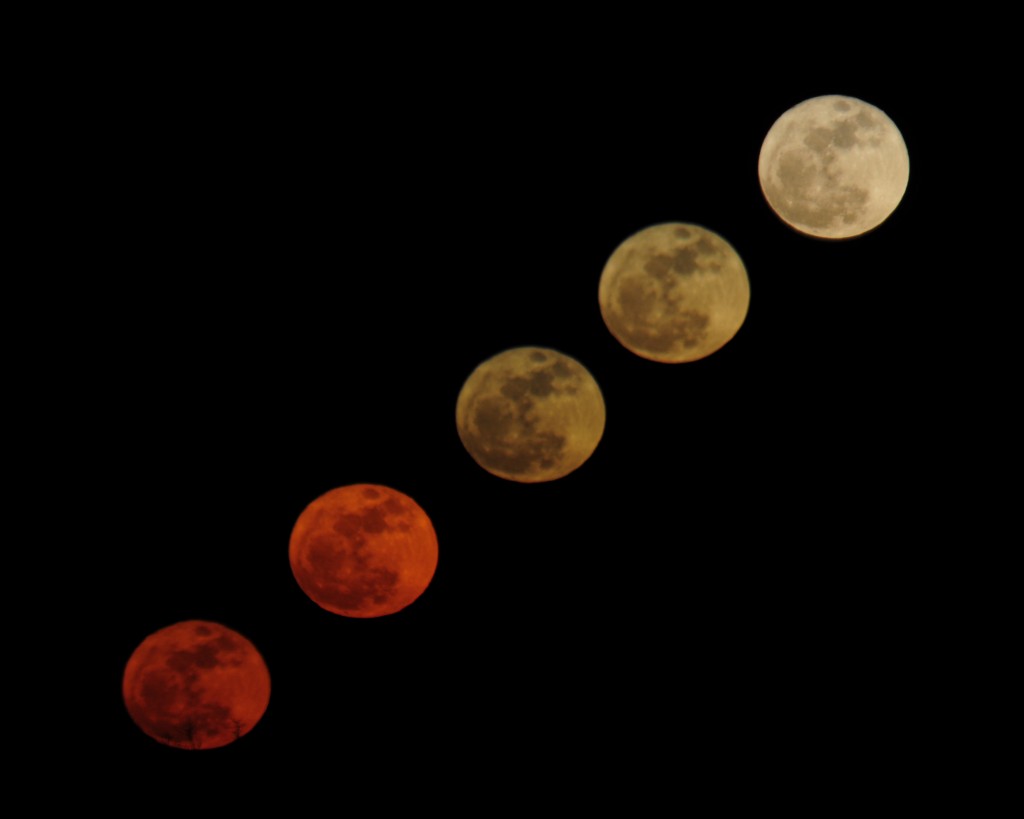 Other Astrophotography on the Night of the “Supermoon” MegaPixel Travel