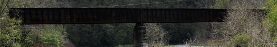 _RON9562-Banner