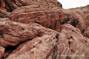 DSC_9139-Red-Rock-Canyon