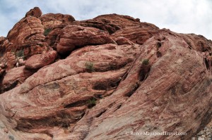 DSC_9144-Red-Rock-Canyon