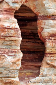DSC_9149-Red-Rock-Canyon